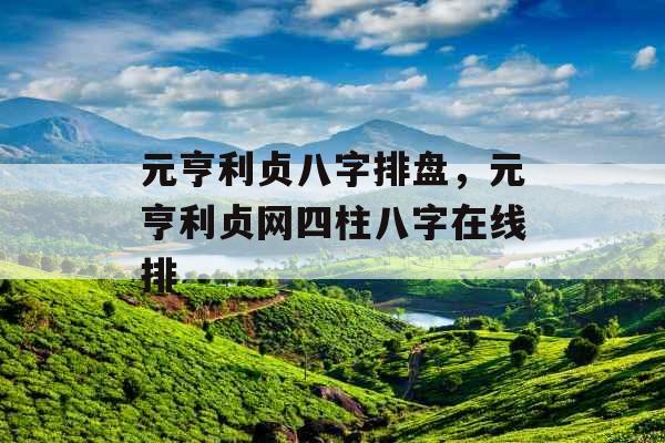 元亨利贞八字排盘，元亨利贞网四柱八字在线排