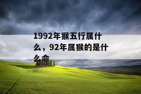 1992年猴五行属什么，92年属猴的是什么命