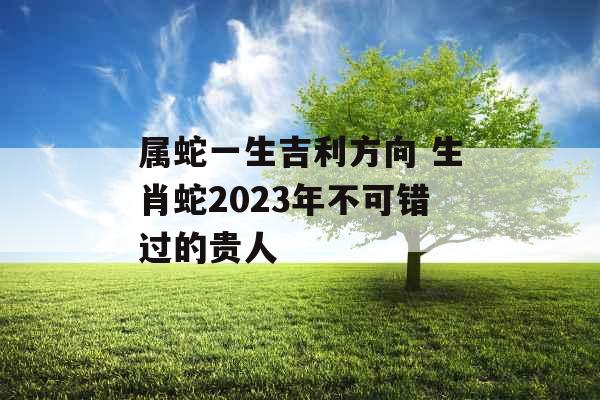 属蛇一生吉利方向 生肖蛇2023年不可错过的贵人