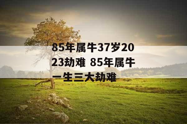 85年属牛37岁2023劫难 85年属牛一生三大劫难