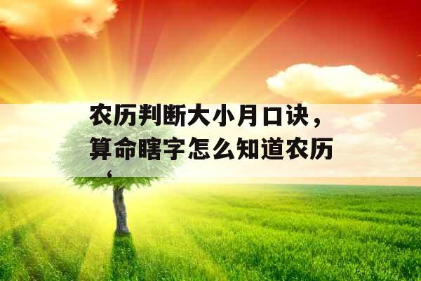 农历判断大小月口诀，算命瞎字怎么知道农历‘