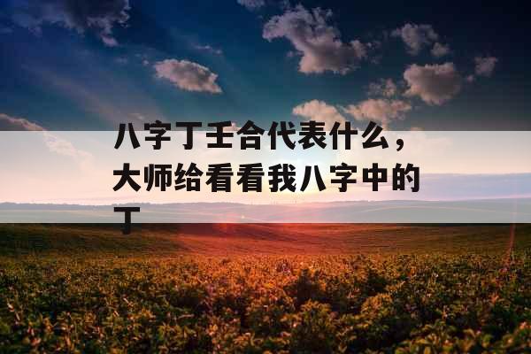 八字丁壬合代表什么，大师给看看我八字中的丁