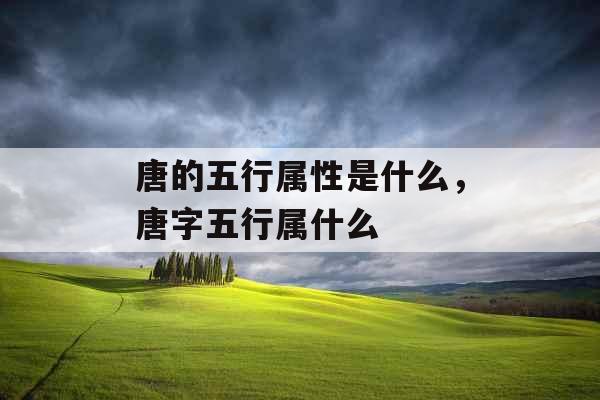 唐的五行属性是什么，唐字五行属什么