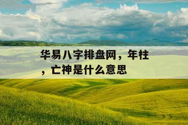 华易八字排盘网，年柱，亡神是什么意思