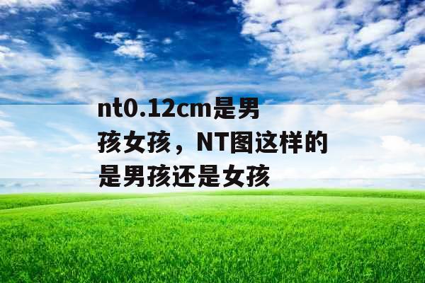 nt0.12cm是男孩女孩，NT图这样的是男孩还是女孩