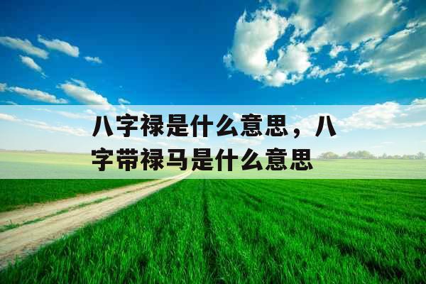 八字禄是什么意思，八字带禄马是什么意思