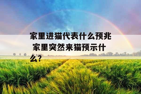 家里进猫代表什么预兆 家里突然来猫预示什么？