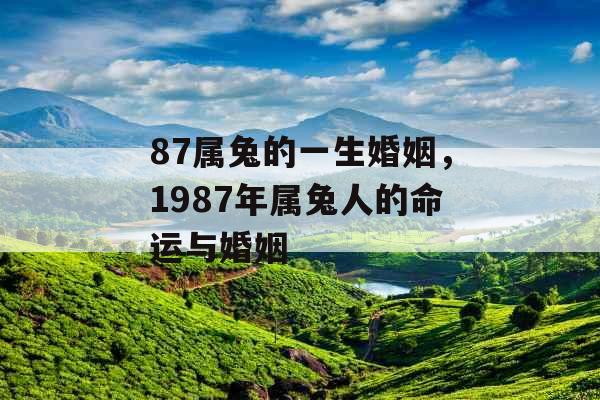 87属兔的一生婚姻，1987年属兔人的命运与婚姻