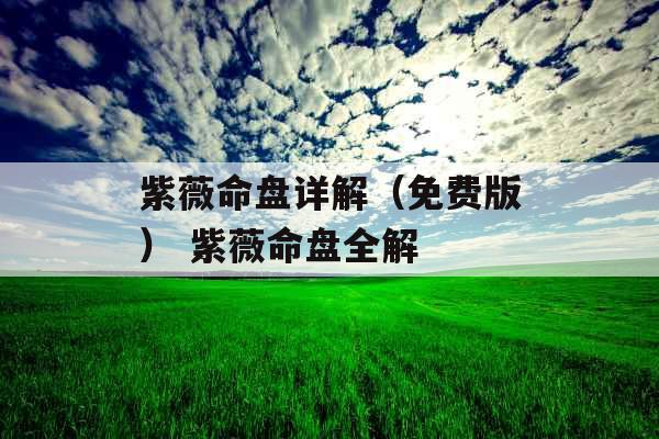 紫薇命盘详解（免费版） 紫薇命盘全解