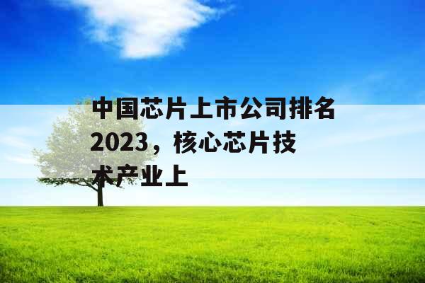 中国芯片上市公司排名2023,核心芯片技术产业上 中国芯片上市公司排名2023,核心芯片技术产业上