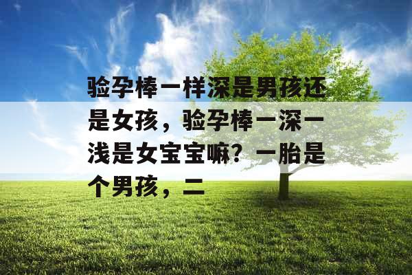 验孕棒一样深是男孩还是女孩，验孕棒一深一浅是女宝宝嘛？一胎是个男孩，二