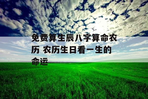 免费算生辰八字算命农历 农历生日看一生的命运 免费算生辰八字算命农历 农历生日看一生的命运