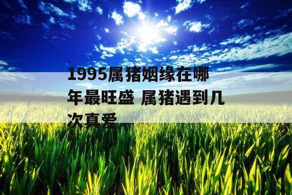 1995属猪姻缘在哪年最旺盛 属猪遇到几次真爱