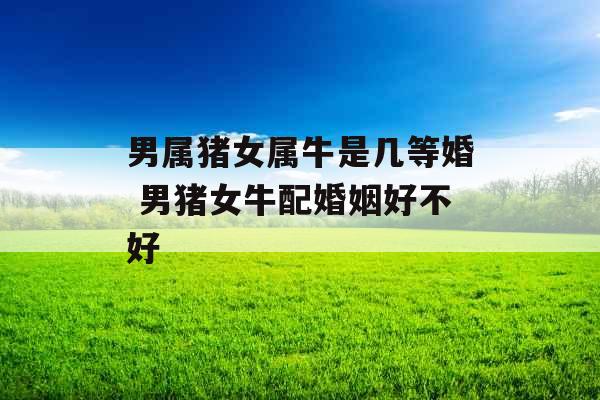 男属猪女属牛是几等婚 男猪女牛配婚姻好不好 男属猪女属牛是几等婚 男猪女牛配婚姻好不好