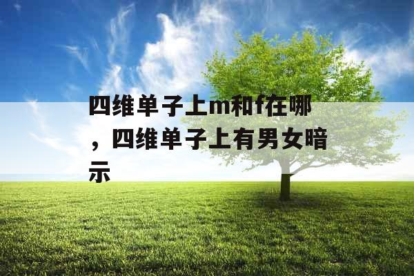 四维单子上m和f在哪，四维单子上有男女暗示