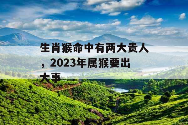 生肖猴命中有两大贵人，2023年属猴要出大事