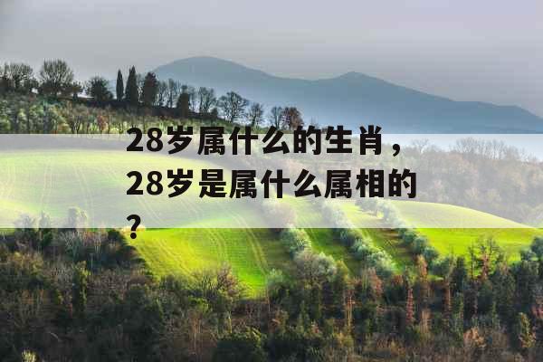 28岁属什么的生肖，28岁是属什么属相的？