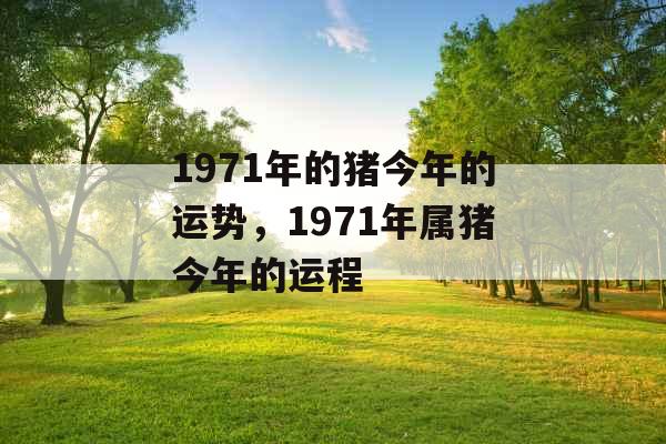 1971年的猪今年的运势，1971年属猪今年的运程