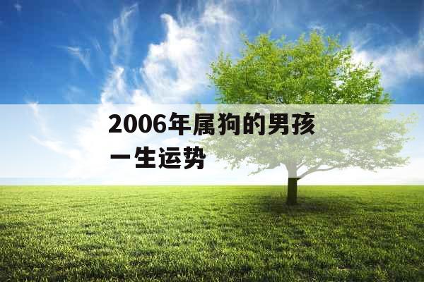 2006年属狗的男孩一生运势