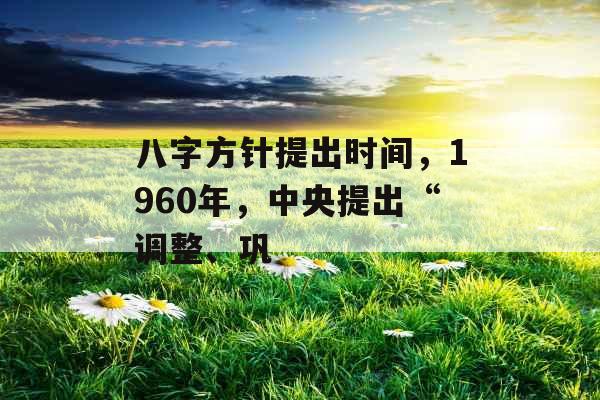 八字方针提出时间，1960年，中央提出“调整、巩