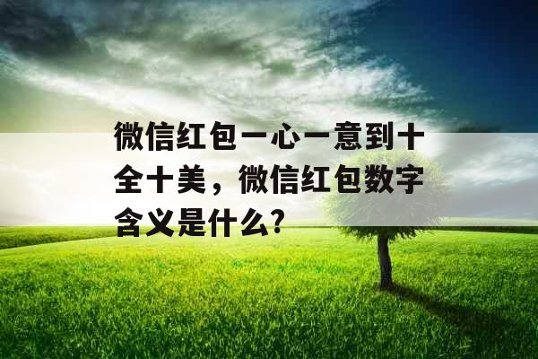 微信红包一心一意到十全十美，微信红包数字含义是什么?