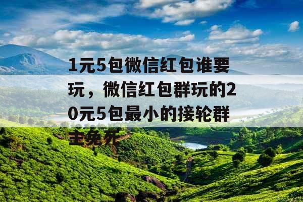 1元5包微信红包谁要玩，微信红包群玩的20元5包最小的接轮群主免死