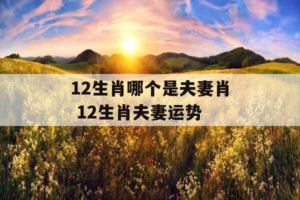 12生肖哪个是夫妻肖 12生肖夫妻运势