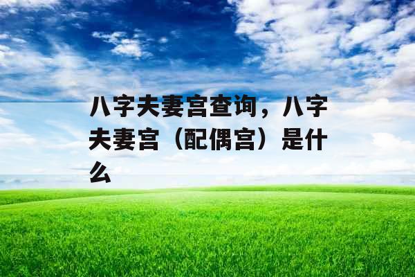 八字夫妻宫查询，八字夫妻宫（配偶宫）是什么