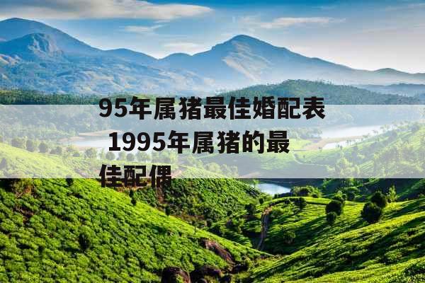 95年属猪最佳婚配表 1995年属猪的最佳配偶