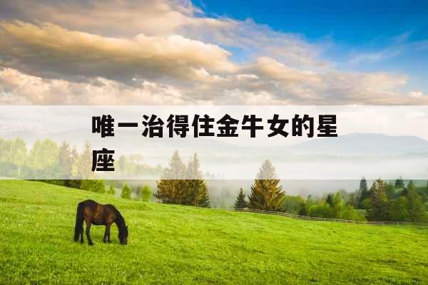 唯一治得住金牛女的星座 唯一治得住金牛女的星座