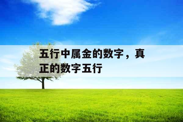五行中属金的数字,真正的数字五行 五行中属金的数字,真正的数字五行