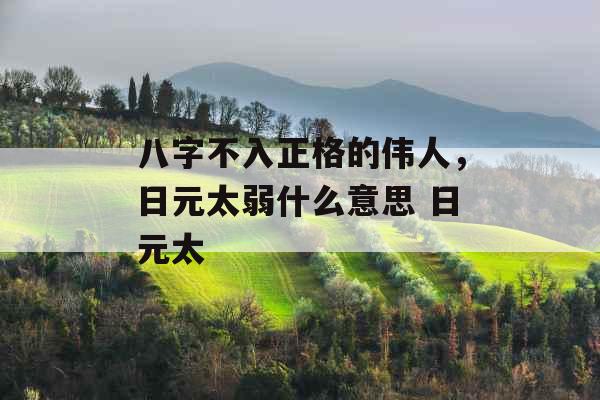 八字不入正格的伟人,日元太弱什么意思 日元太 八字不入正格的伟人,日元太弱什么意思 日元太