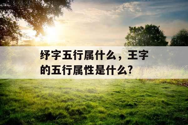 纾字五行属什么，王字的五行属性是什么?