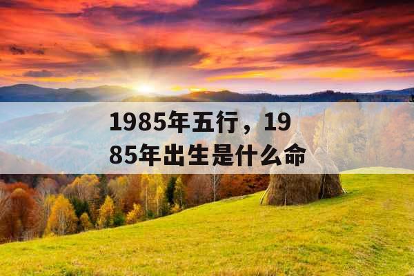 1985年五行，1985年出生是什么命