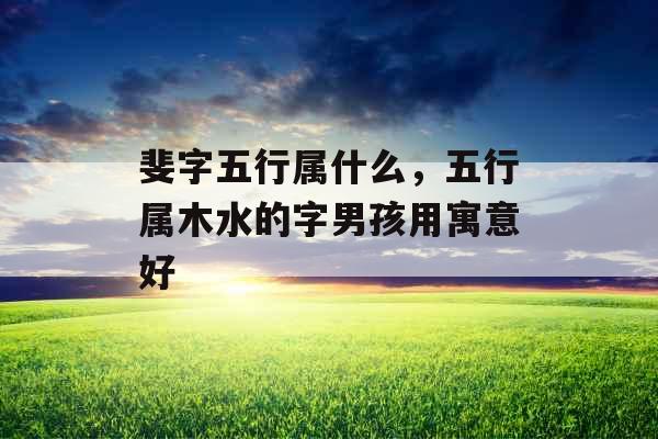 斐字五行属什么,五行属木水的字男孩用寓意好 斐字五行属什么,五行属木水的字男孩用寓意好
