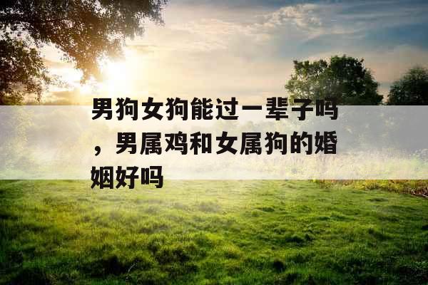 男狗女狗能过一辈子吗,男属鸡和女属狗的婚姻好吗 男狗女狗能过一辈子吗,男属鸡和女属狗的婚姻好吗