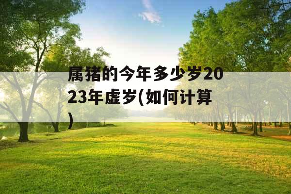 属猪的今年多少岁2023年虚岁(如何计算)