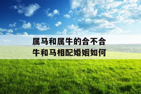 属马和属牛的合不合 牛和马相配婚姻如何 属马和属牛的合不合 牛和马相配婚姻如何