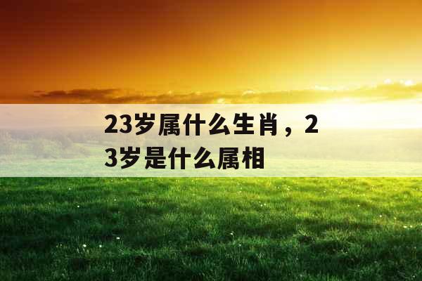 23岁属什么生肖，23岁是什么属相