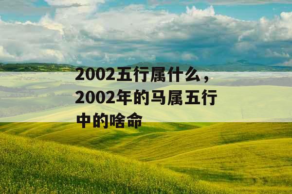 2002五行属什么，2002年的马属五行中的啥命