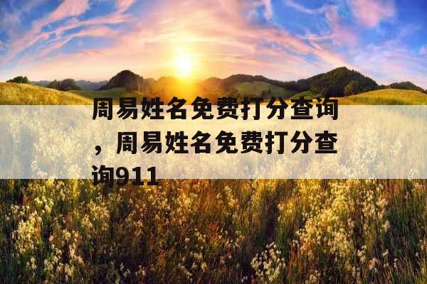 周易姓名免费打分查询，周易姓名免费打分查询911