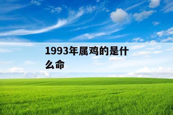 1993年属鸡的是什么命