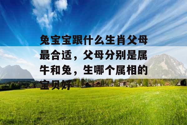 兔宝宝跟什么生肖父母最合适，父母分别是属牛和兔，生哪个属相的宝贝好