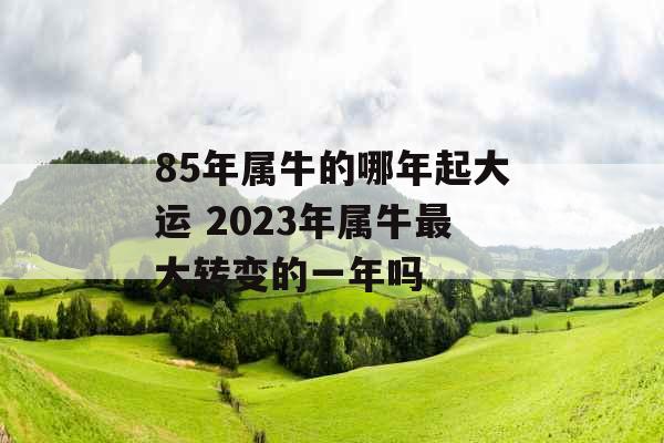 85年属牛的哪年起大运 2023年属牛最大转变的一年吗