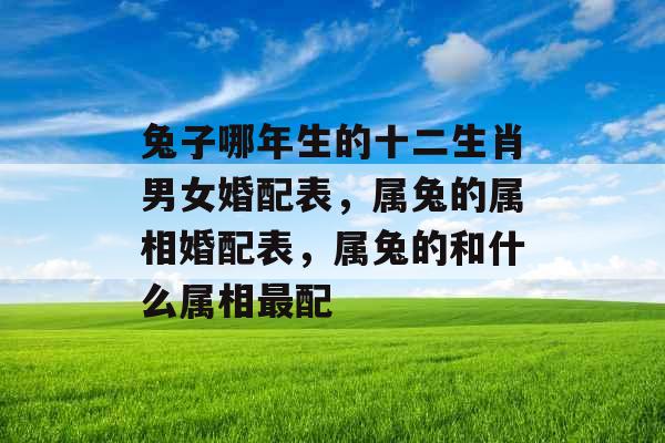 兔子哪年生的十二生肖男女婚配表,属兔的属相婚配表,属兔的和什么属相最配 兔子哪年生的十二生肖男女婚配表,属兔的属相婚配表,属兔的和什么属相最配