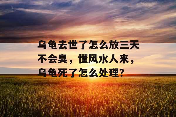 乌龟去世了怎么放三天不会臭,懂风水人来,乌龟死了怎么处理? 乌龟去世了怎么放三天不会臭,懂风水人来,乌龟死了怎么处理?