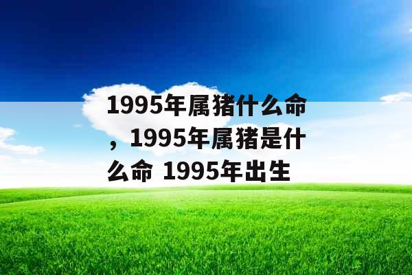 1995年属猪什么命，1995年属猪是什么命 1995年出生