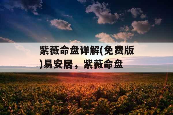 紫薇命盘详解(免费版)易安居，紫薇命盘
