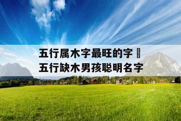 五行属木字最旺的字 五行缺木男孩聪明名字