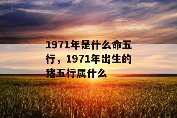 1971年是什么命五行，1971年出生的猪五行属什么